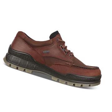 Men's Ecco Track 25 Low Hiking & Trail Burgundy | SG 572DFM